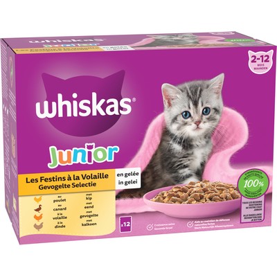 Sachet festin vol.gelee chaton bt